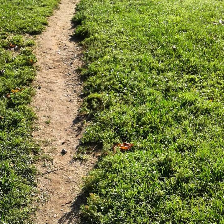 21741304_1636408096372290_952393313613566801_o