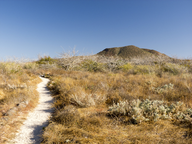 coronados south trail P1140866