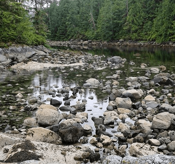 Screen Shot 2018-05-25 at 4.14.42 PM