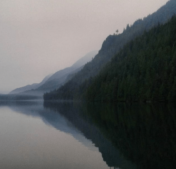 Screen Shot 2018-05-25 at 4.16.06 PM