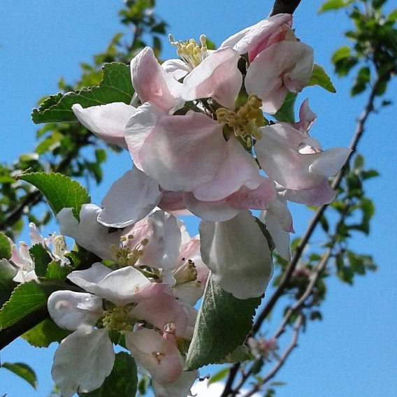 35628641_1930556656957431_4115210558041489408_n