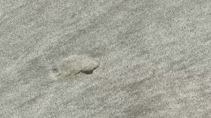 Screen Shot 2018-07-12 at 2.19.36 PM