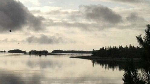 40322365_2045762665436829_894526488143986688_n