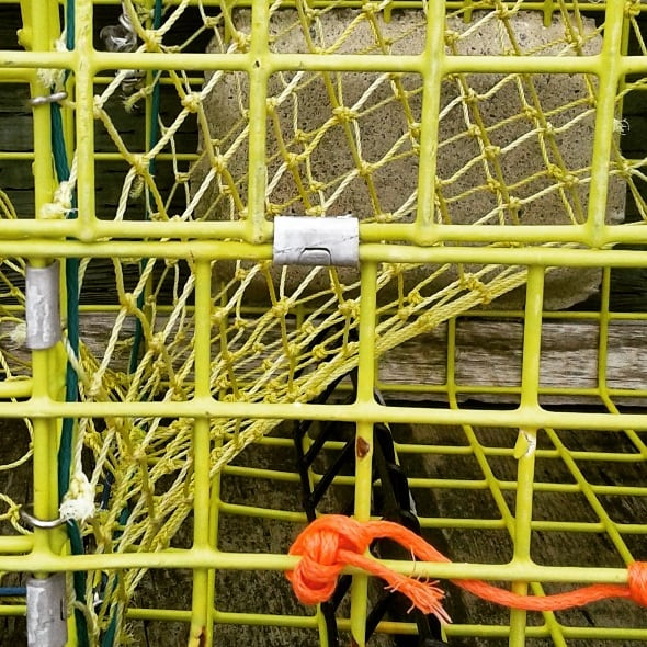 44851510_2122491887763906_8948174133372387328_n