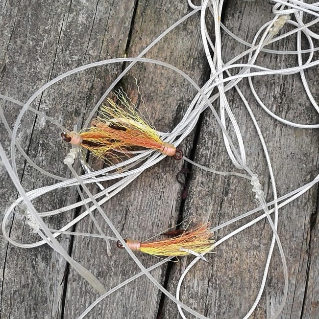 44991958_2122500204429741_4808847149280264192_n(1)