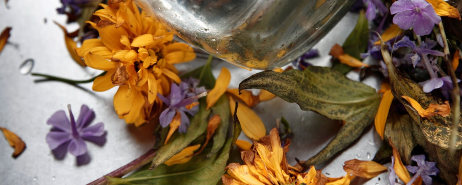 dying flowers in a sink