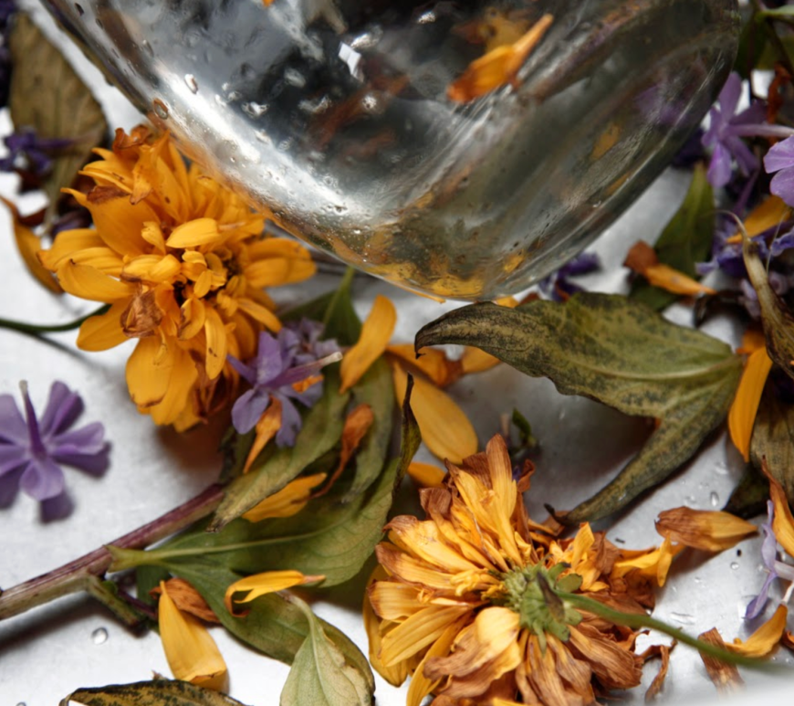 dying flowers in a sink